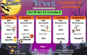 Stage multi-activités octobre 2026